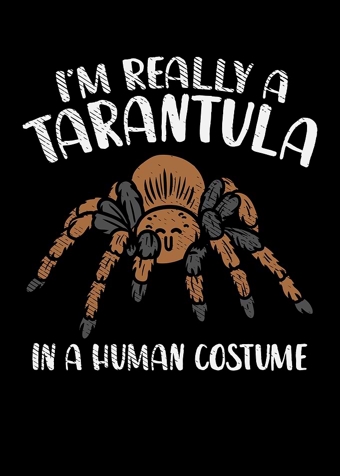 Im Really A Tarantula In