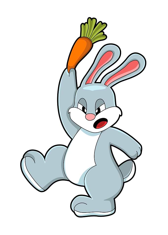 Rabbit Carrot