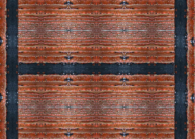 Rug Pattern