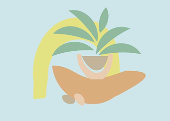 Mexican Potted Plant Minim