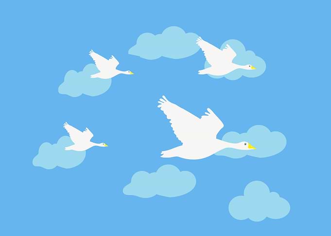 Geese Flying Clouds Sky