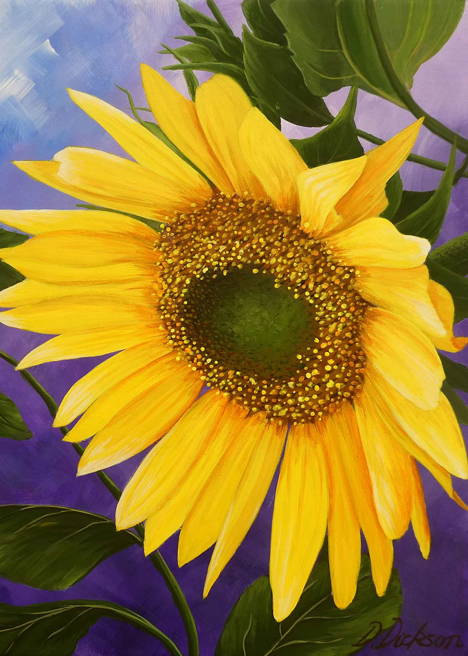 Sunflowers
