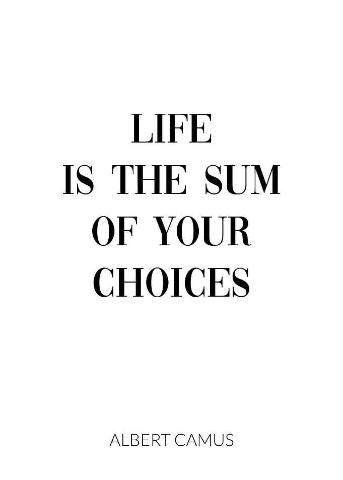 Albert Camus Quote