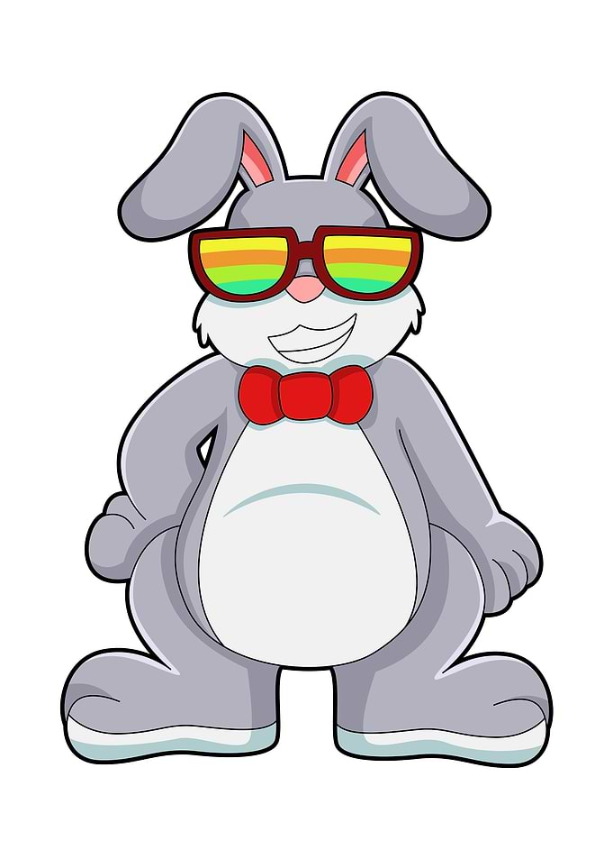 Rabbit Sunglasses