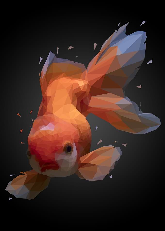goldfish lowpoly art