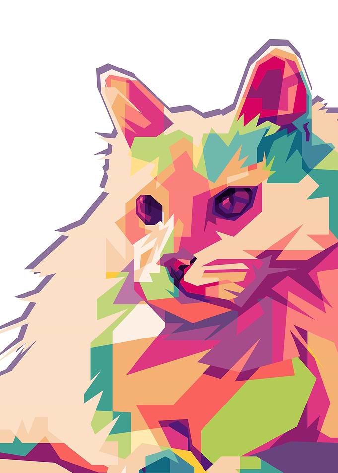 CAT POPART