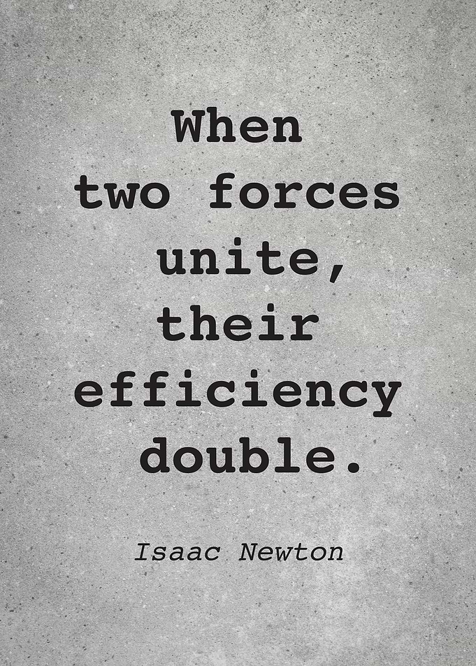 Isaac Newton Quote L021