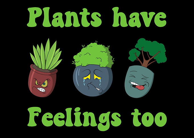 Indoor Plant Lover