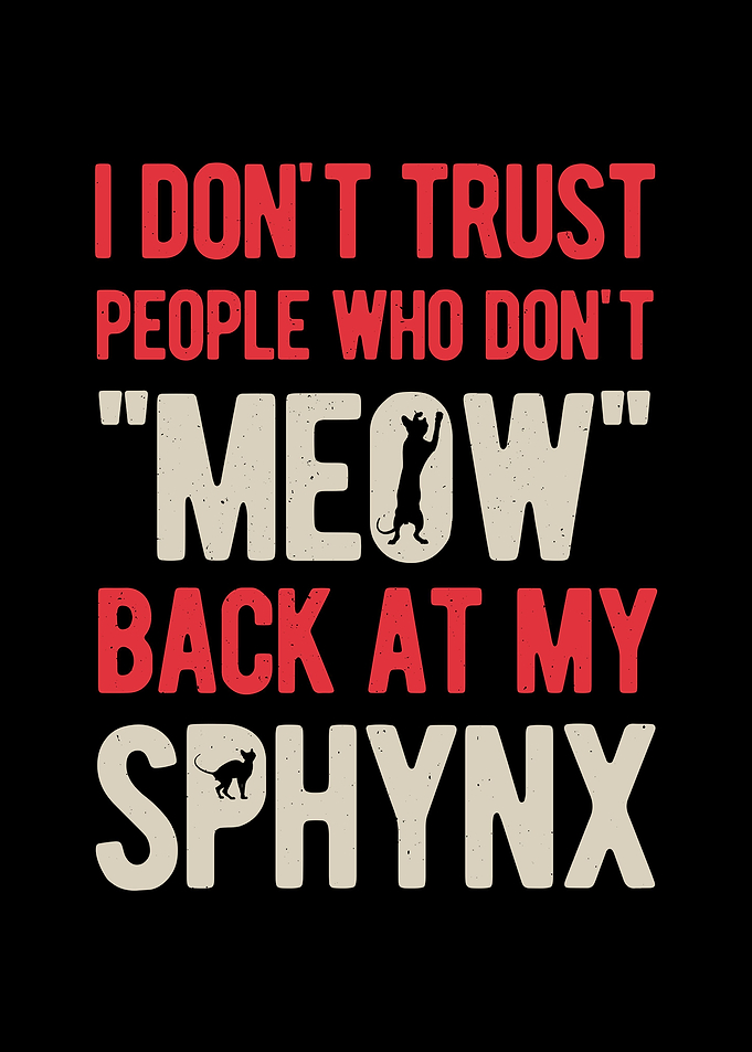 Funny Sphynx Cat