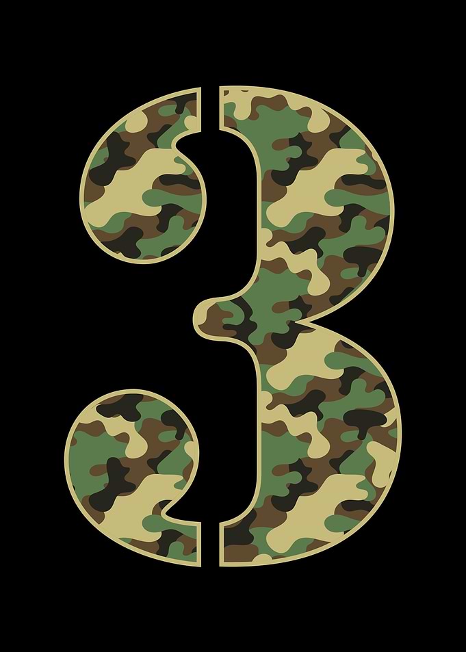 Number 3 Military Camo
