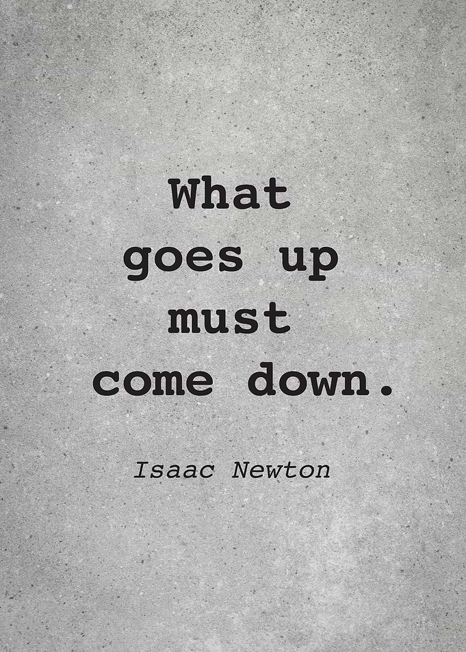 Isaac Newton Quote L028
