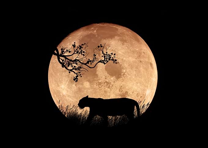Full moon