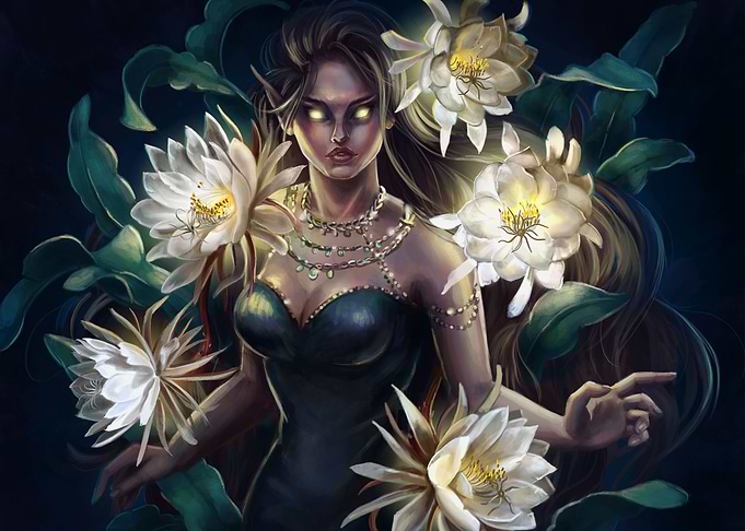 Queen of the night