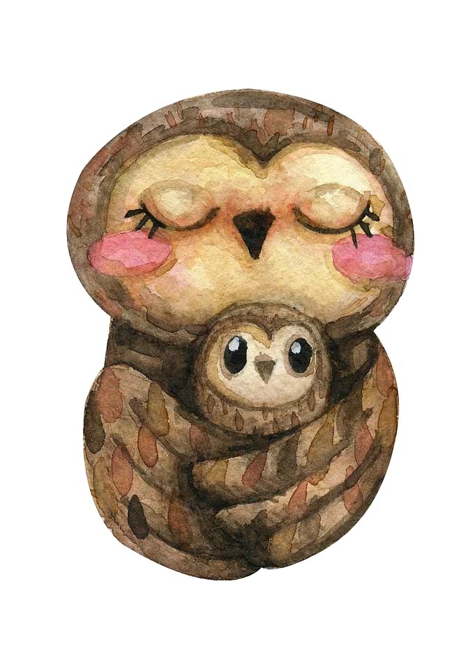 Owl And Baby Watercolor