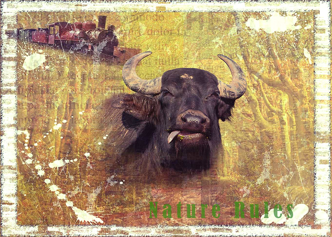 Nature Rules