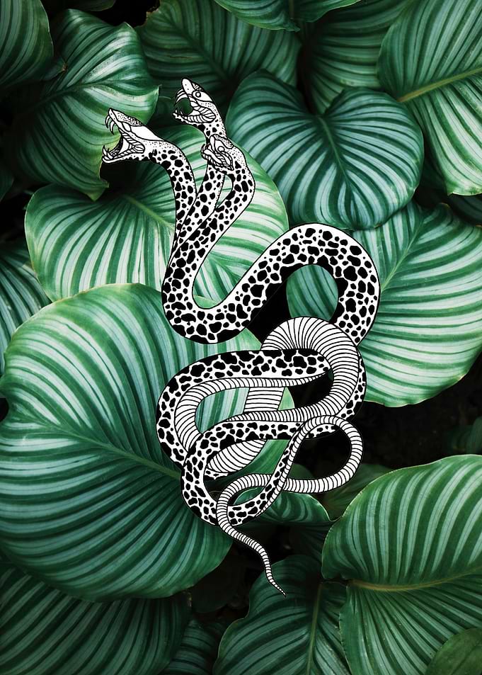 The Snake