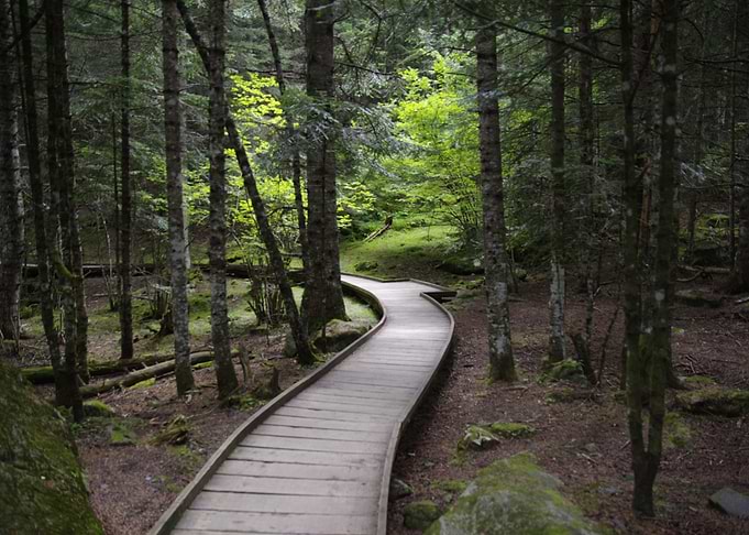 The Green Path