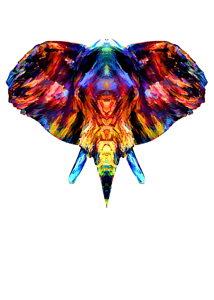 Elephant Art Colorful