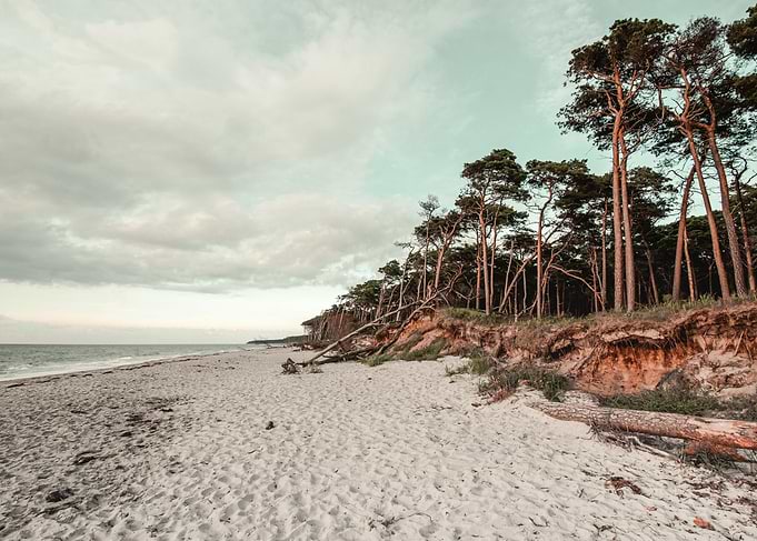 Baltic Beach