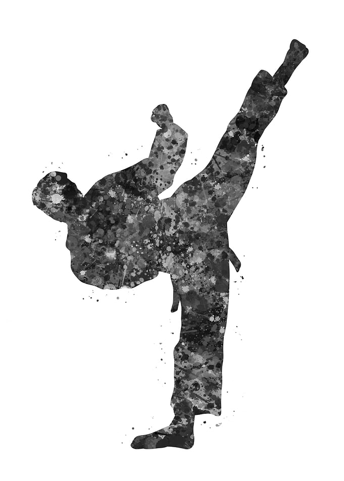Taekwondo man