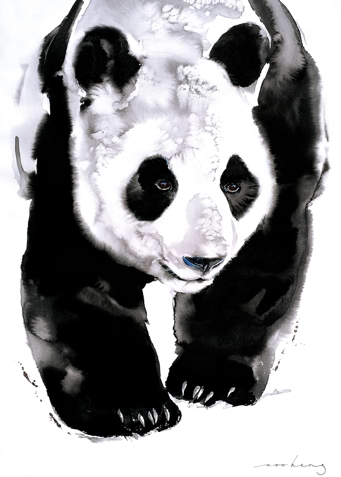 Panda Trail