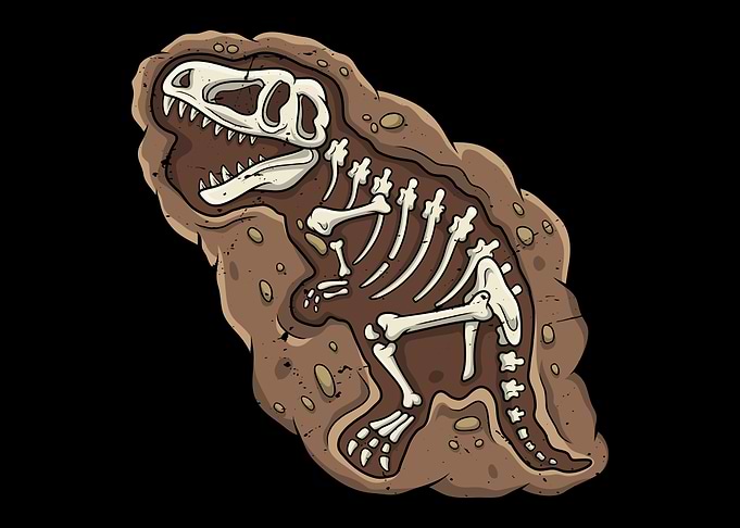 Dinosaur Fossil