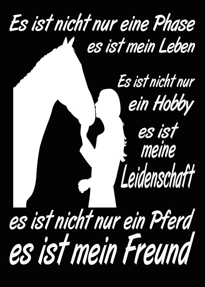 Pferde Spruch Pferd witz