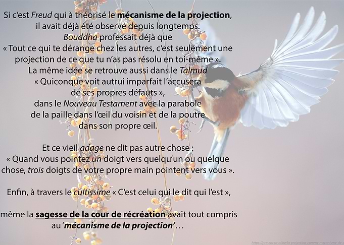 Projection