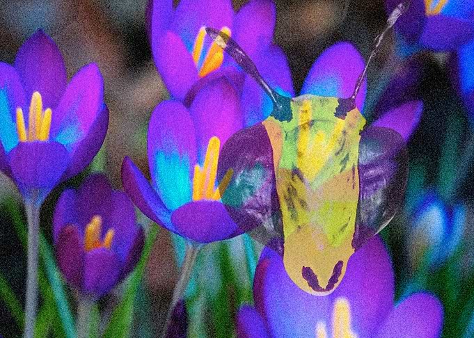 Bee