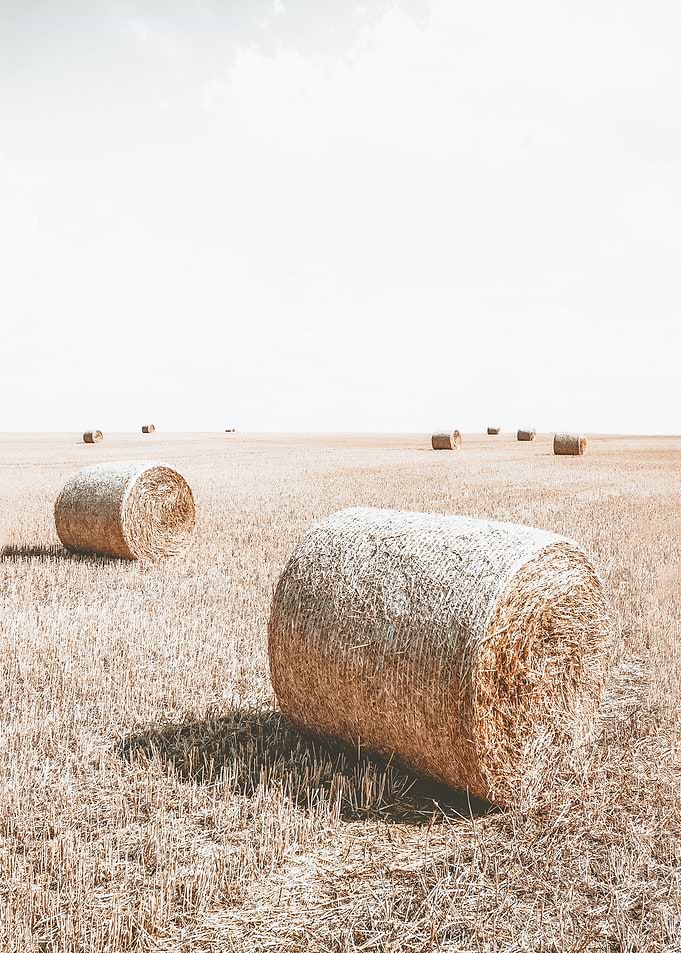 Farmhouse Art