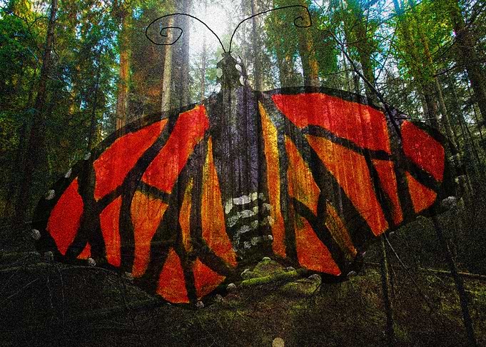 Monarch butterfly