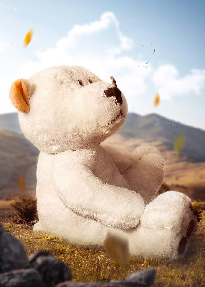 Teddybear