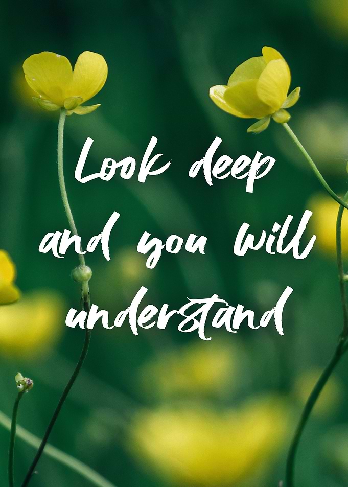 Nature quotes