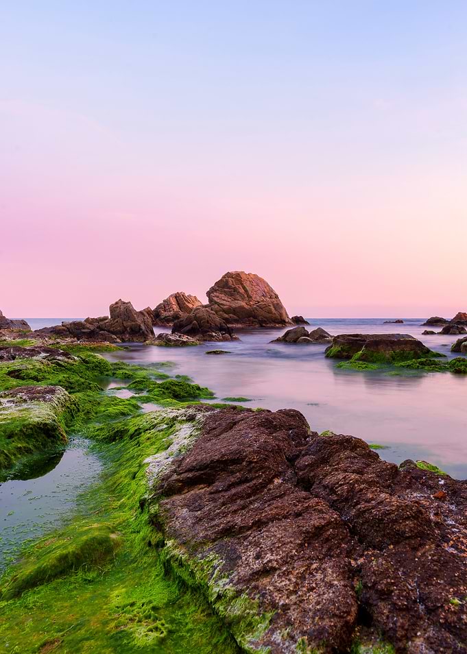 Violet sea sunset beach