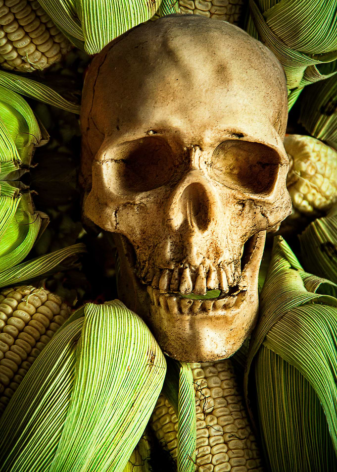 Muerte de maiz