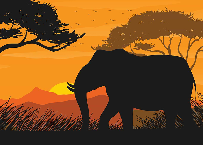 Elephant Cute