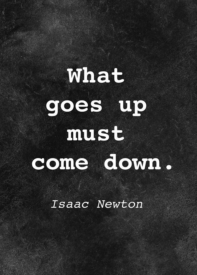 Isaac Newton Quote D028