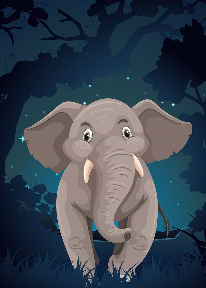 Elephant Cute