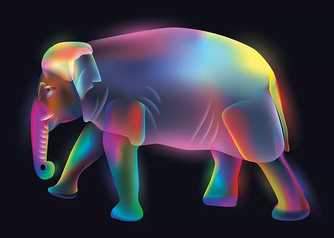 Elephant Cute
