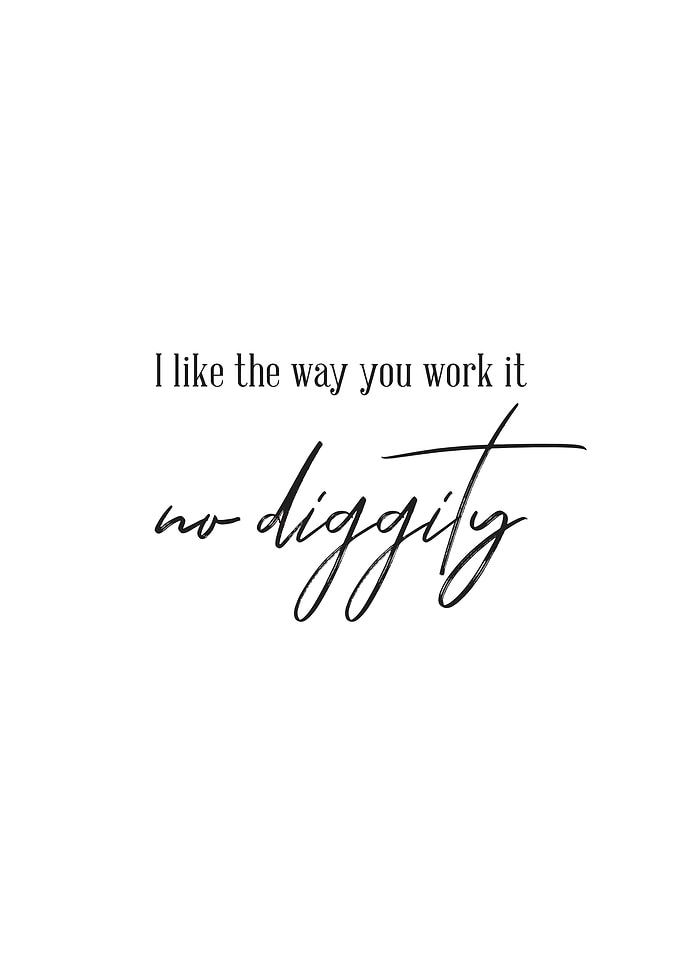 I Like The Way You Work It