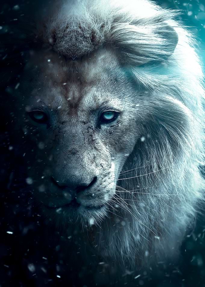 white lion snow poster