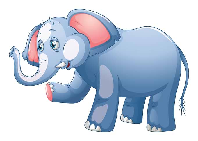 Elephant Cute