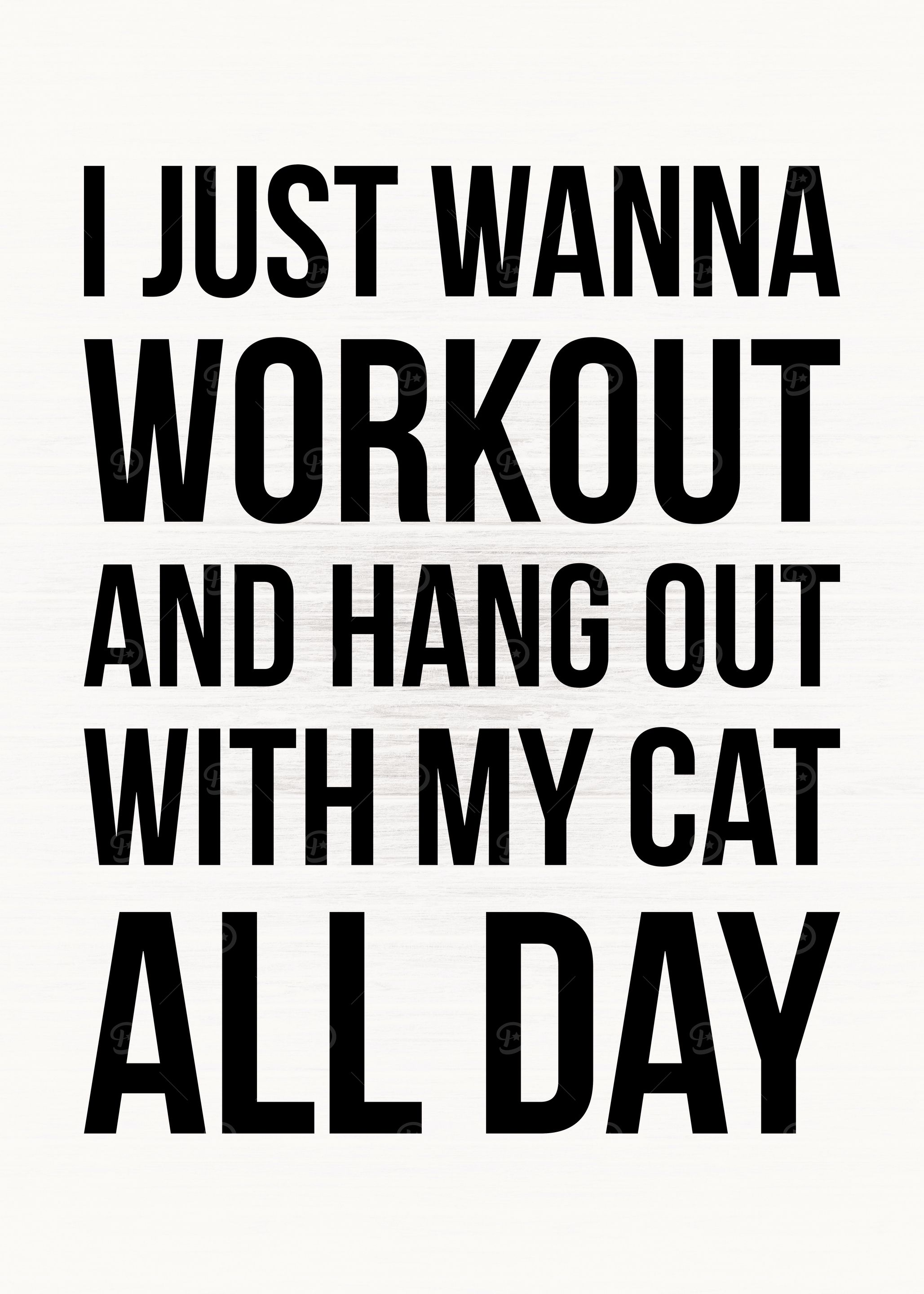 Cats and Workout