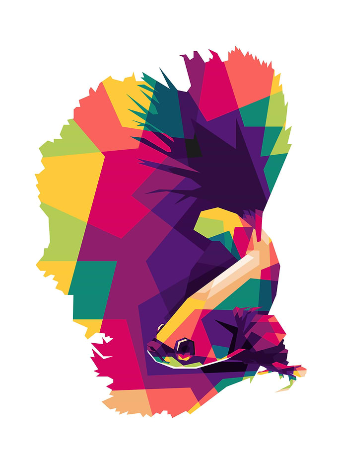 Fish Popart