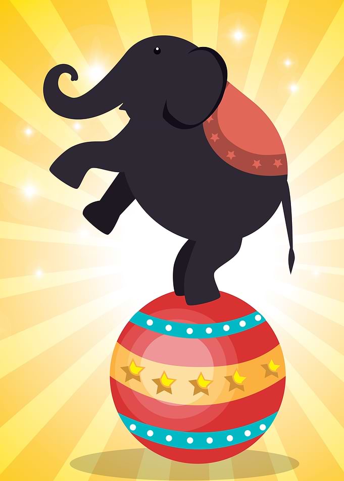 Elephant Cute
