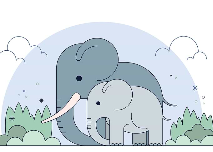 Elephant Cute