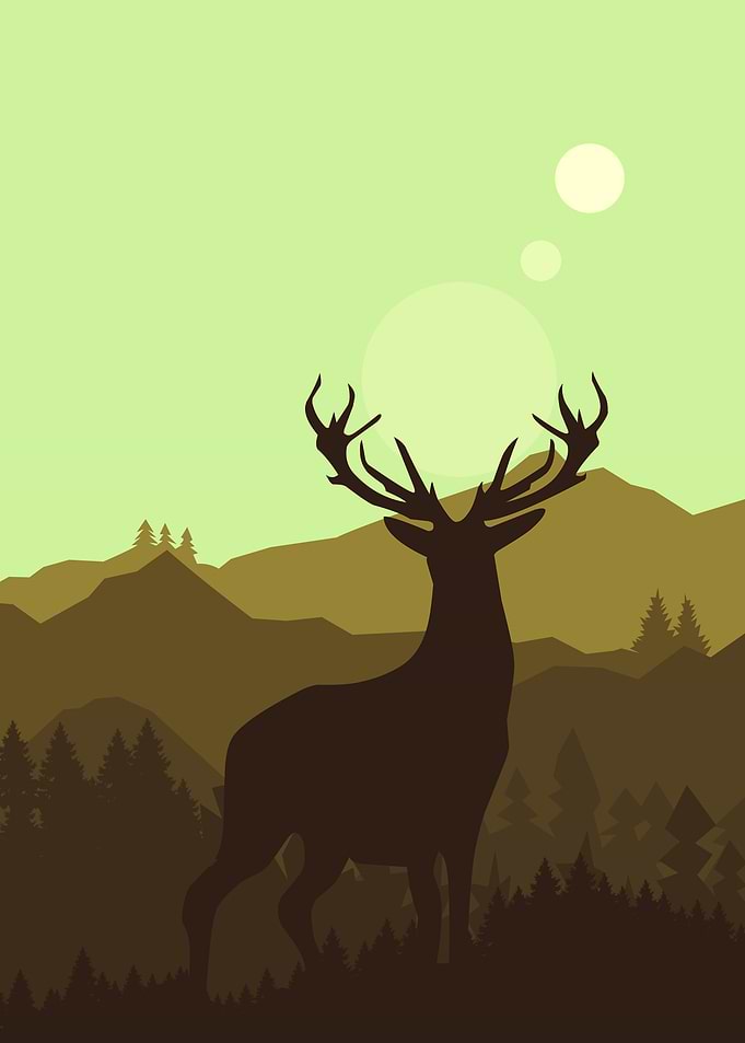 Deer in the jungle