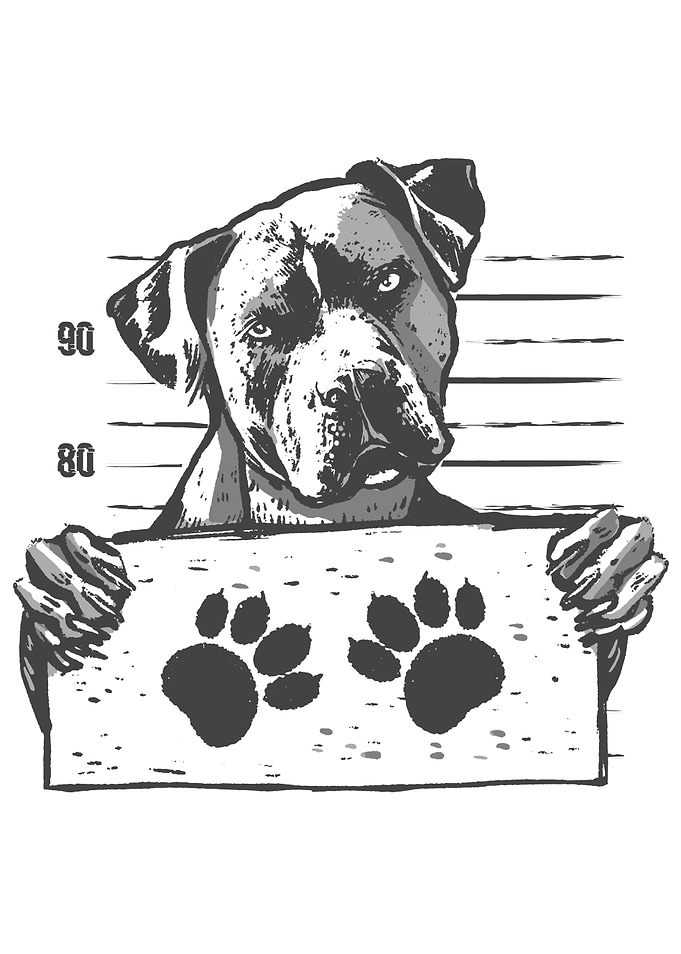 MUGSHOT DOG