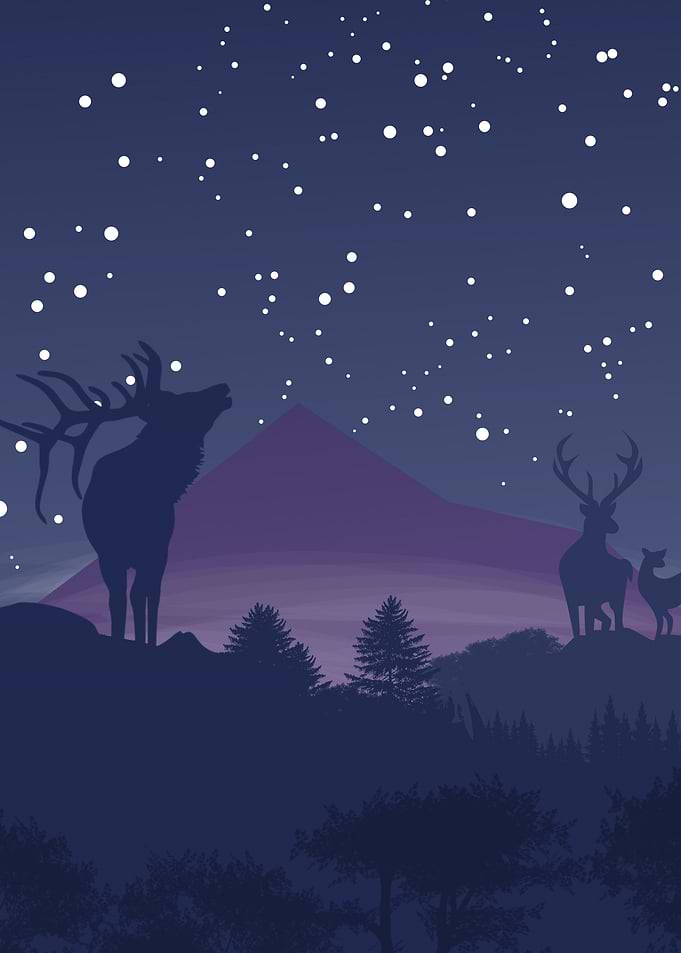 Deer in the jungle
