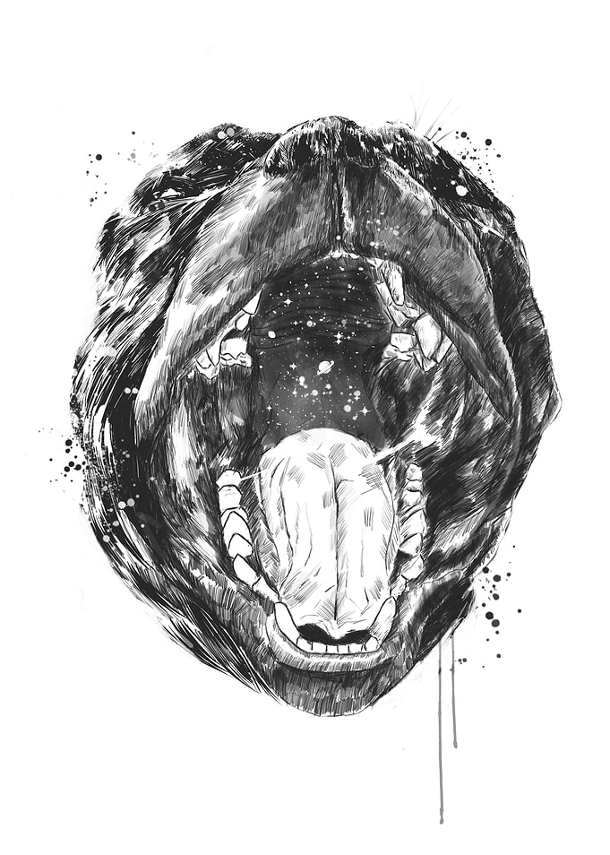 Birth of the universe